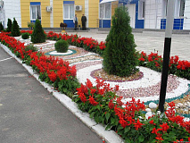 ООО "Лентрансгаз", пос. Холм-Жирки