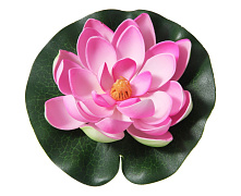 Декоративное растение Водная лилия, д 10,5